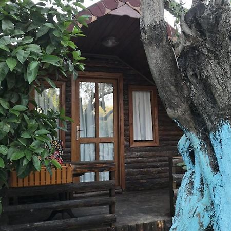 Zeytindagi Bungalow Mehmetalani Экстерьер фото