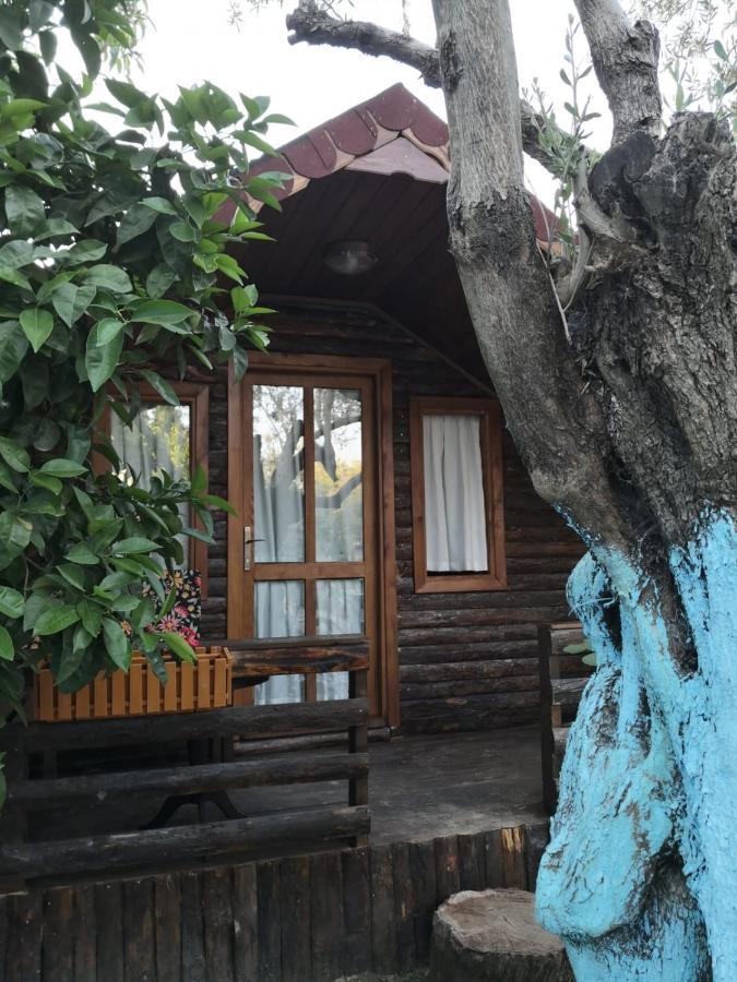 Zeytindagi Bungalow Mehmetalani Экстерьер фото