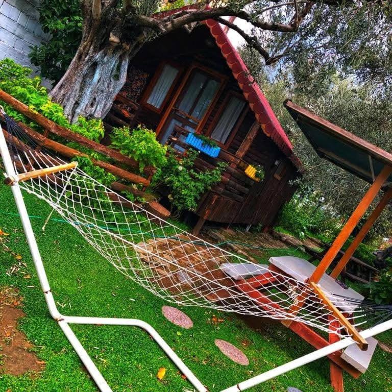 Zeytindagi Bungalow Mehmetalani Экстерьер фото