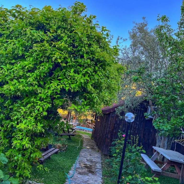Zeytindagi Bungalow Mehmetalani Экстерьер фото