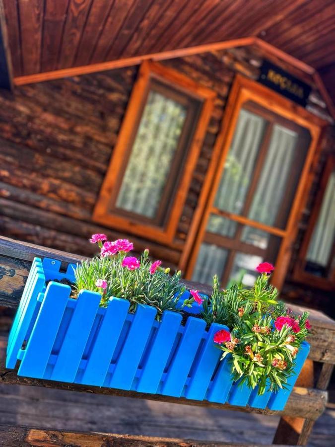 Zeytindagi Bungalow Mehmetalani Экстерьер фото